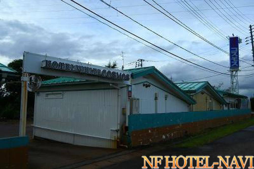 ホワイトコスモスの画像1枚目