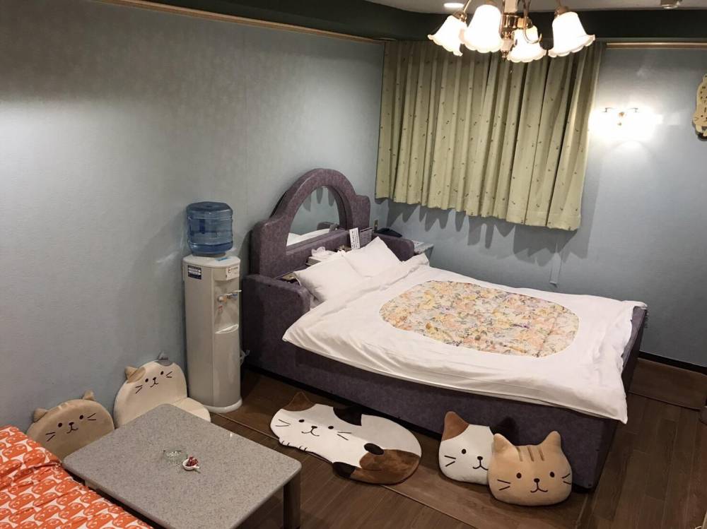 猫と遊べるホテル明日香(アスカ)の画像10枚目