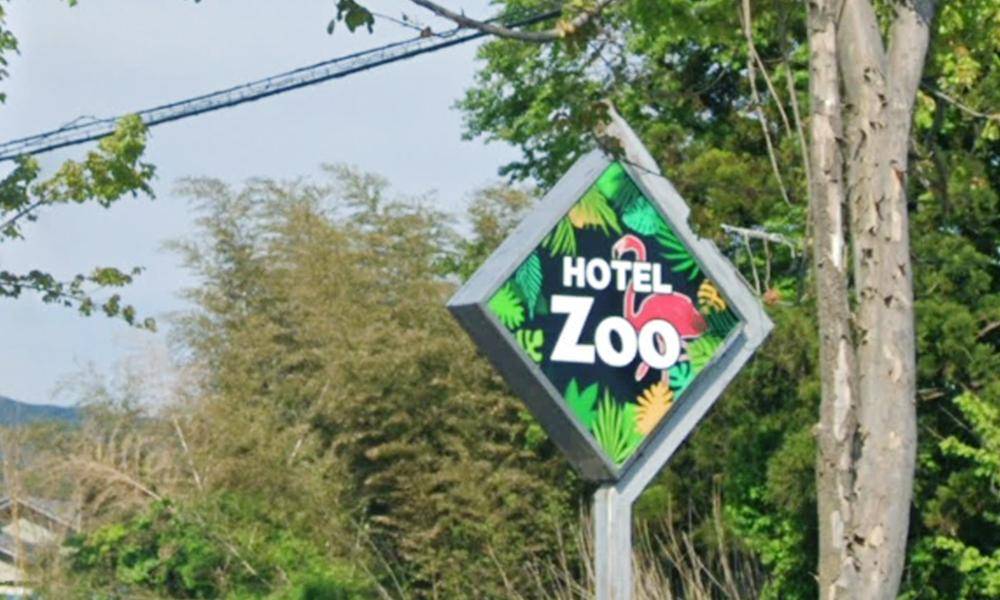 HOTEL Zoo(ホテルズー)の画像1枚目